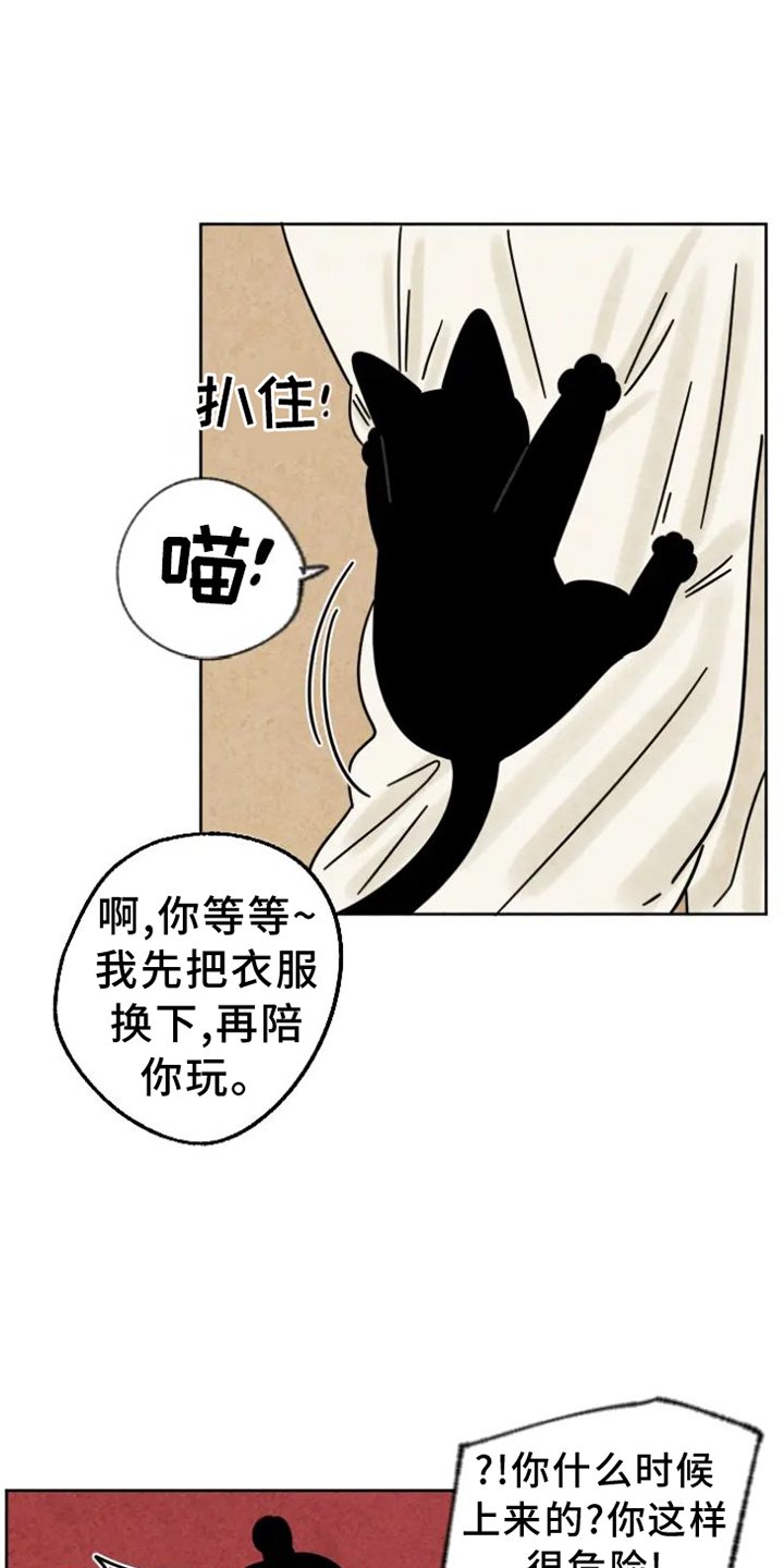 第48章：猫抓板