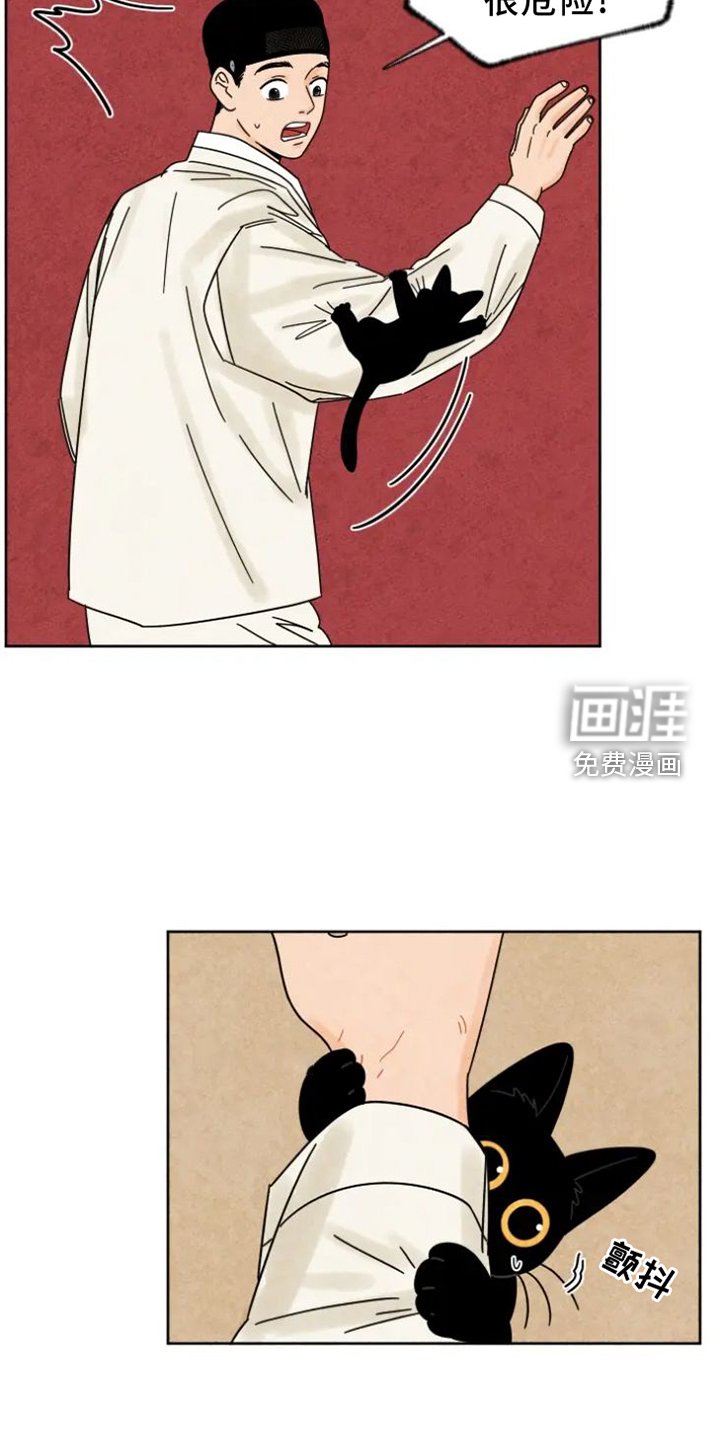 第48章：猫抓板
