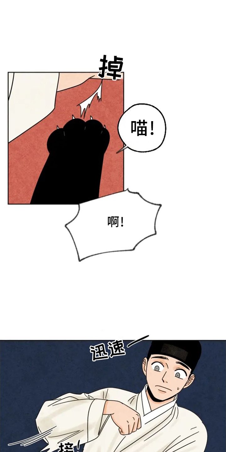 第48章：猫抓板