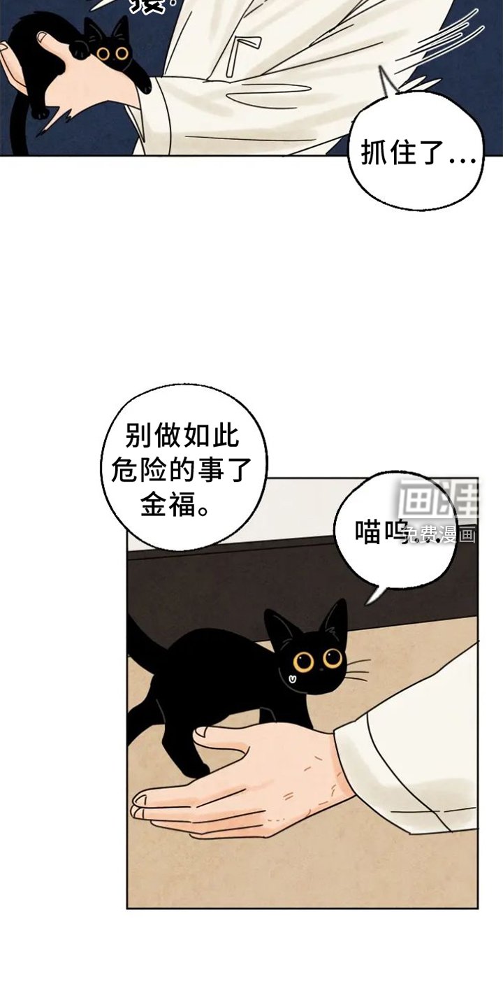 第48章：猫抓板
