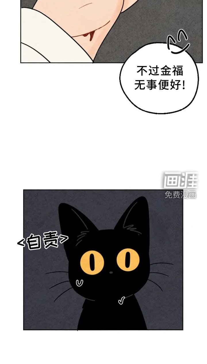 第48章：猫抓板