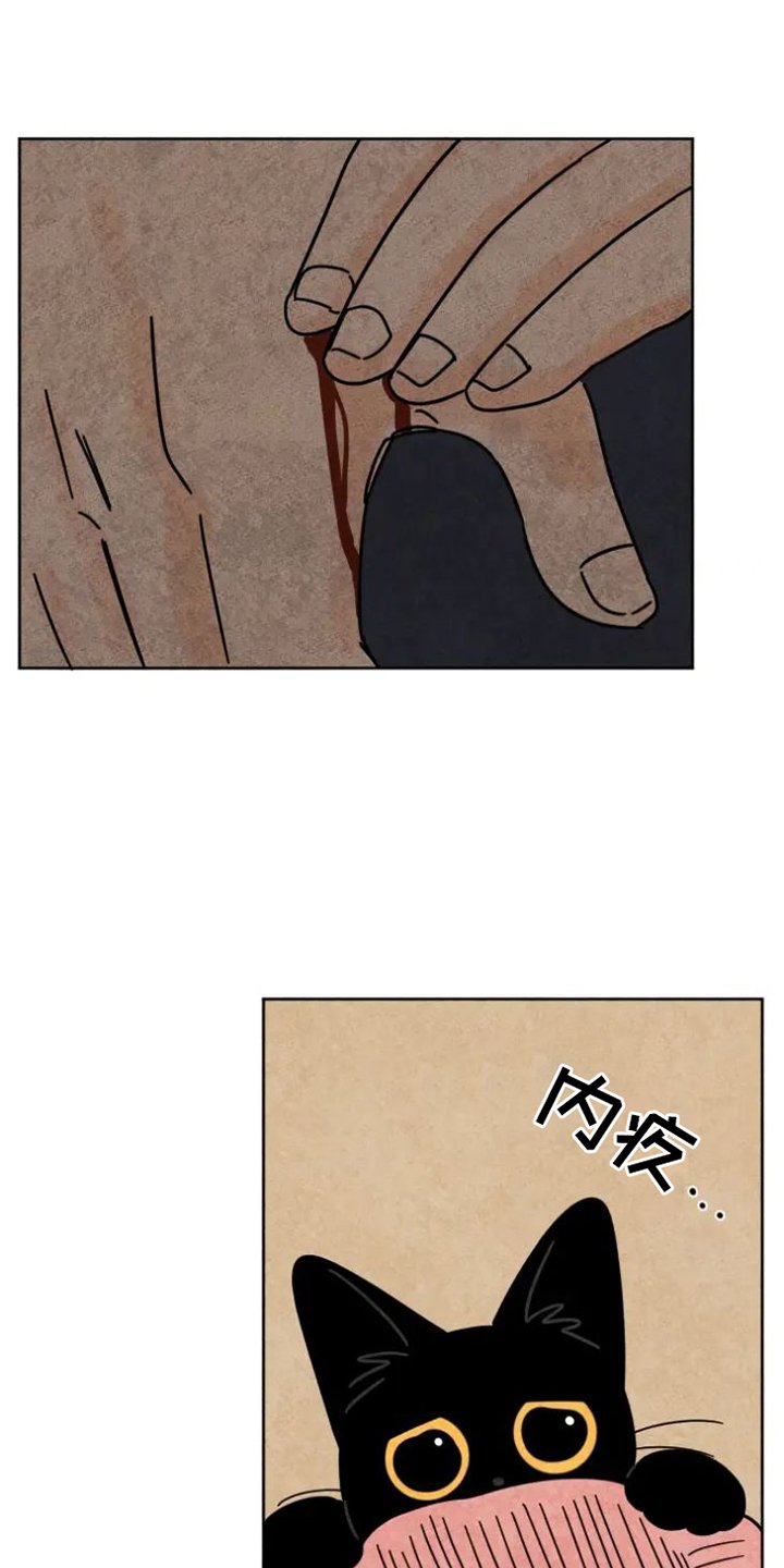 第48章：猫抓板
