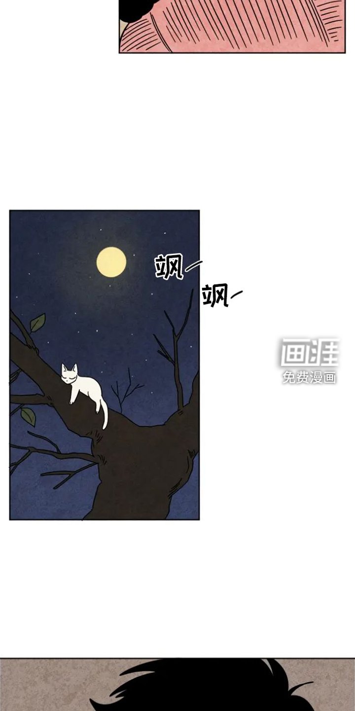 第48章：猫抓板