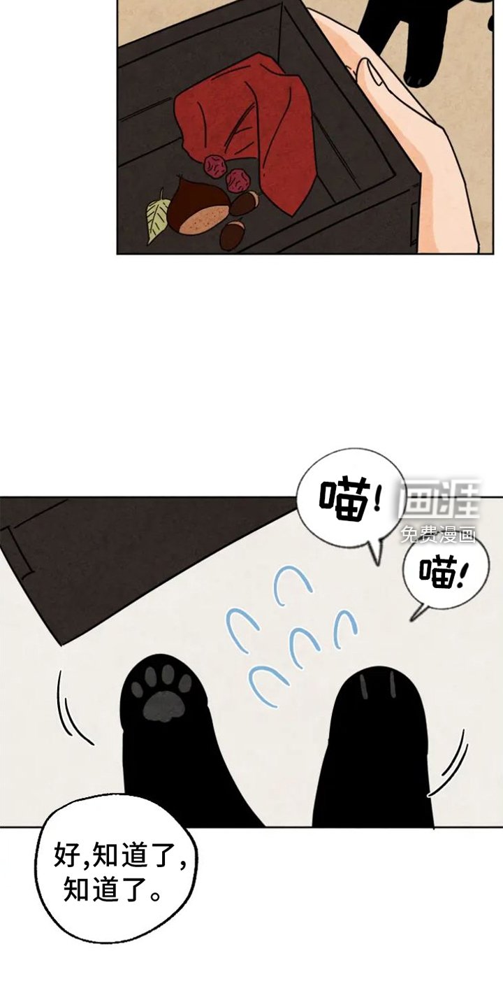 第49章：上街
