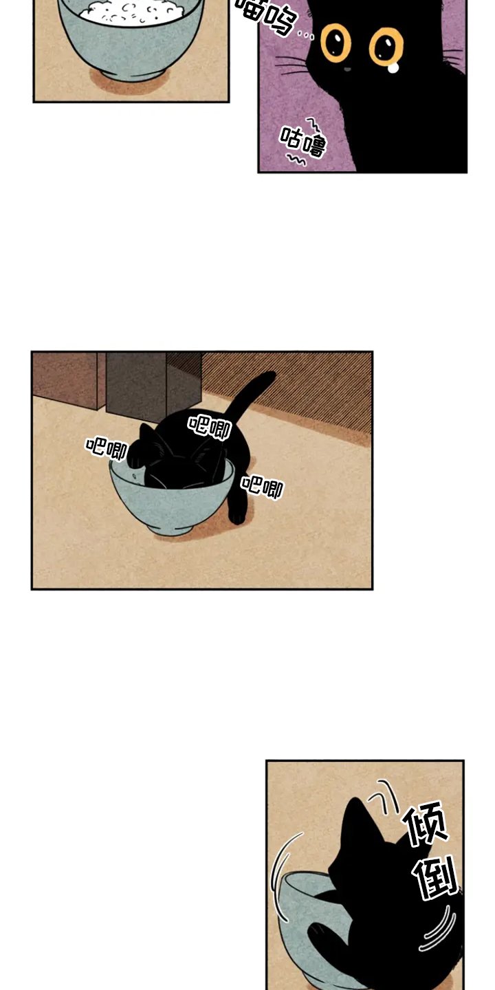 第5章：融入