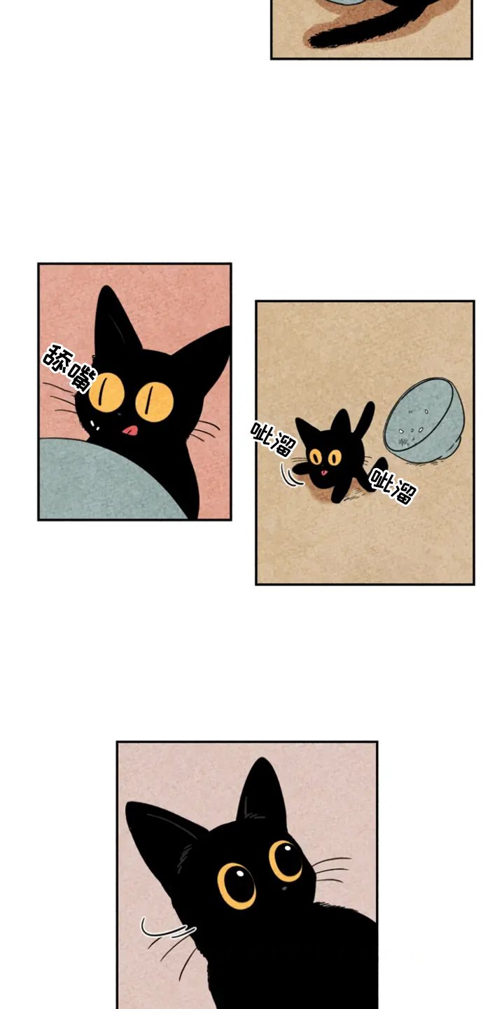 第5章：融入
