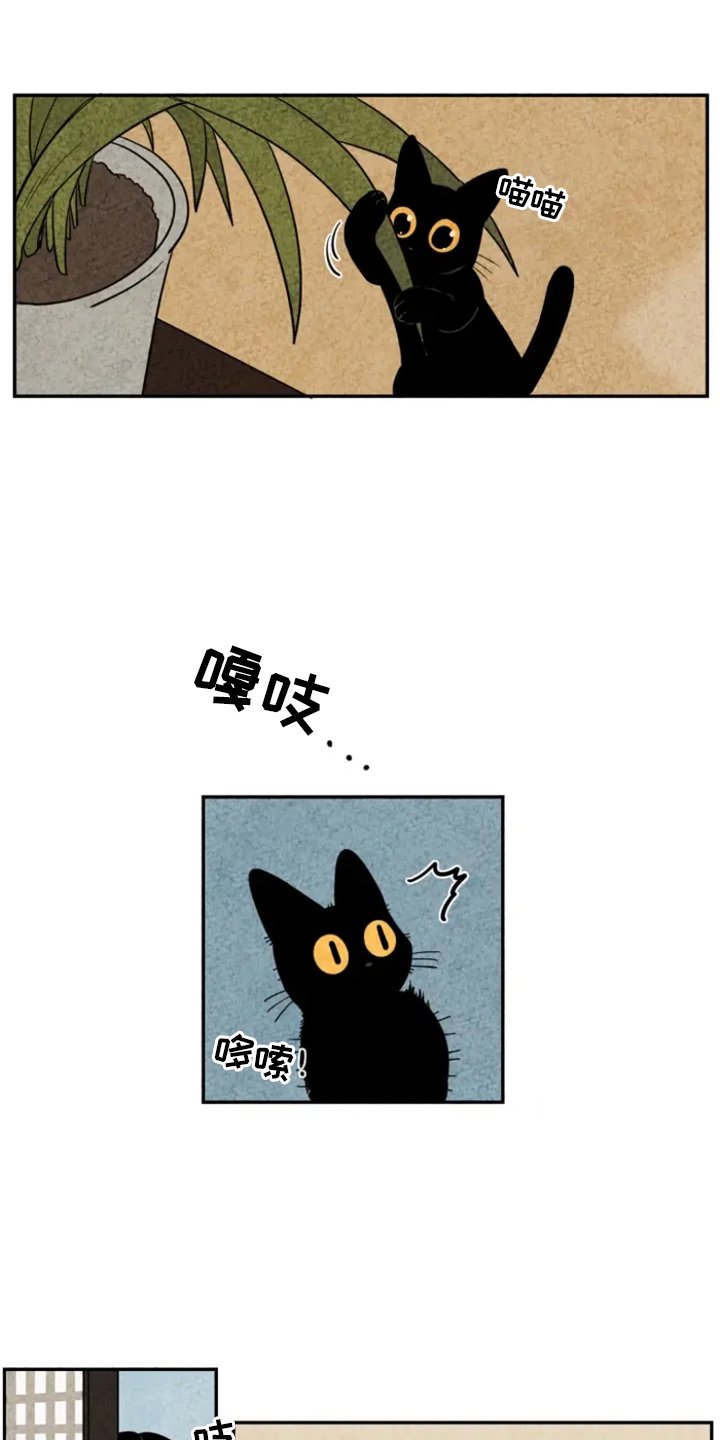 第5章：融入