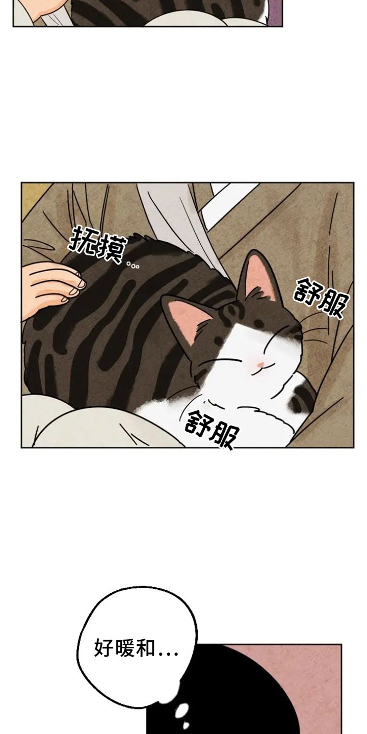 第50章：取暖