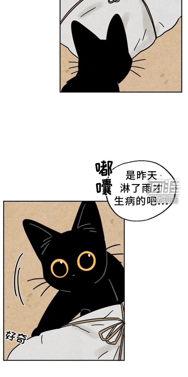 第52章：感动