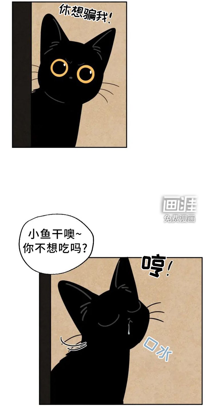 第54章：原因