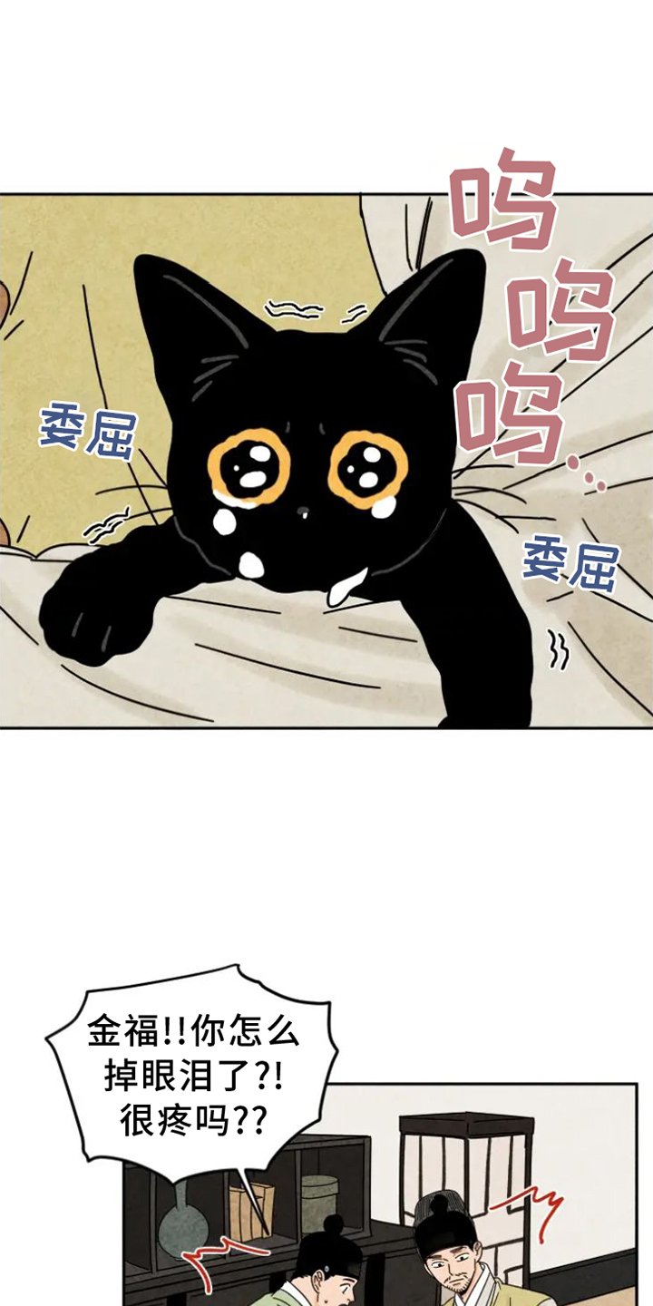 第54章：原因