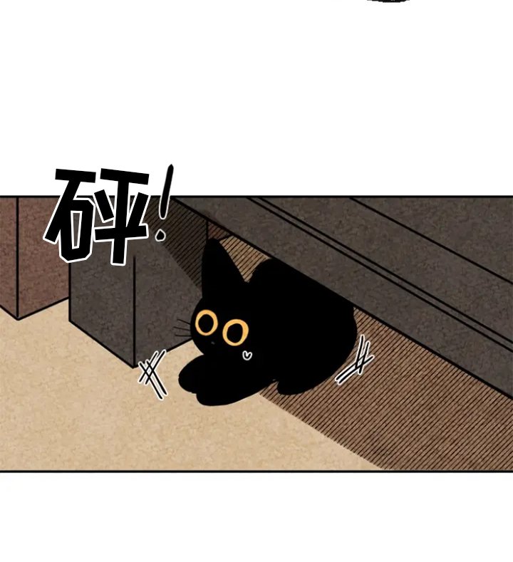 第6章：脏衣服