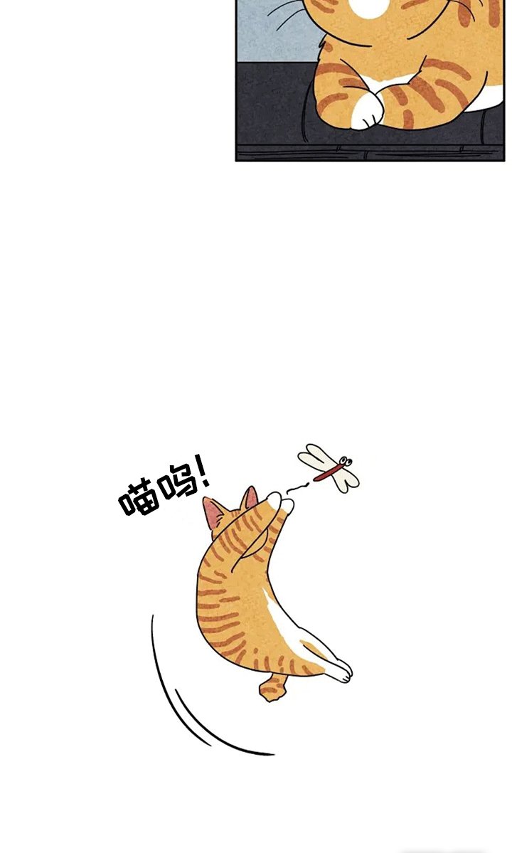 第60章：扑蜻蜓