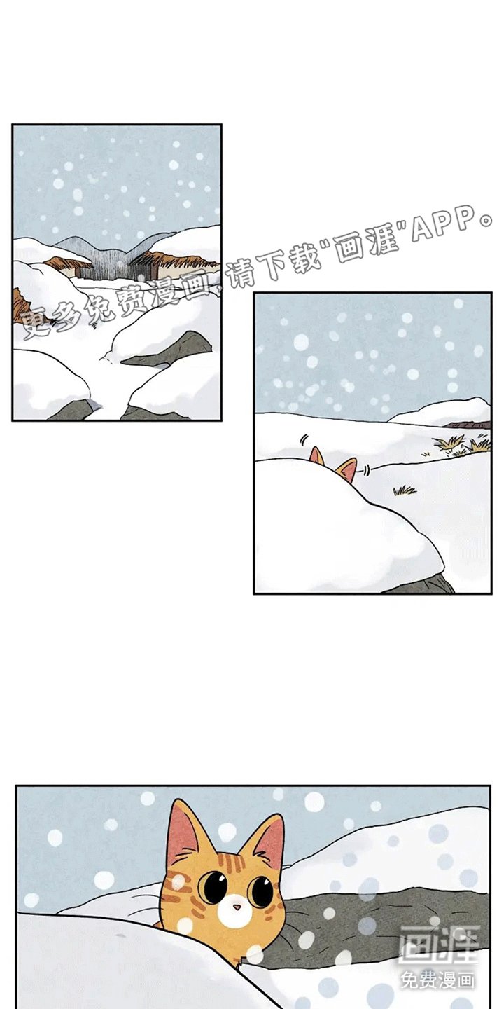 第61章：大橘