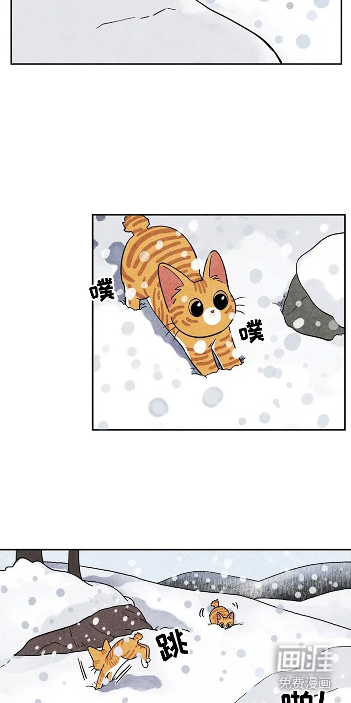 第61章：大橘