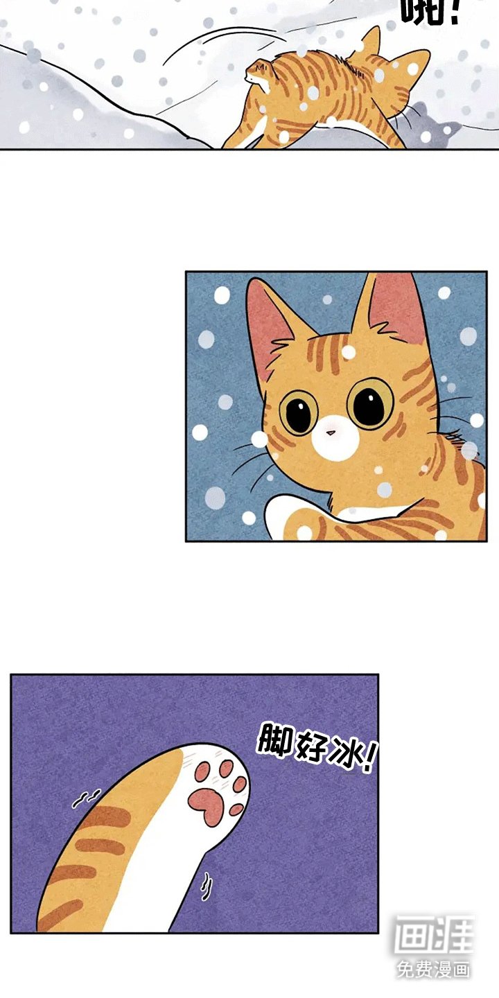 第61章：大橘