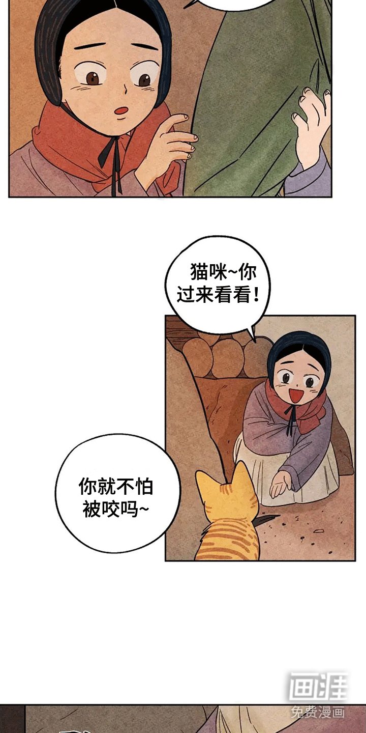 第61章：大橘