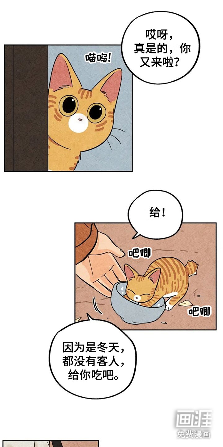 第61章：大橘