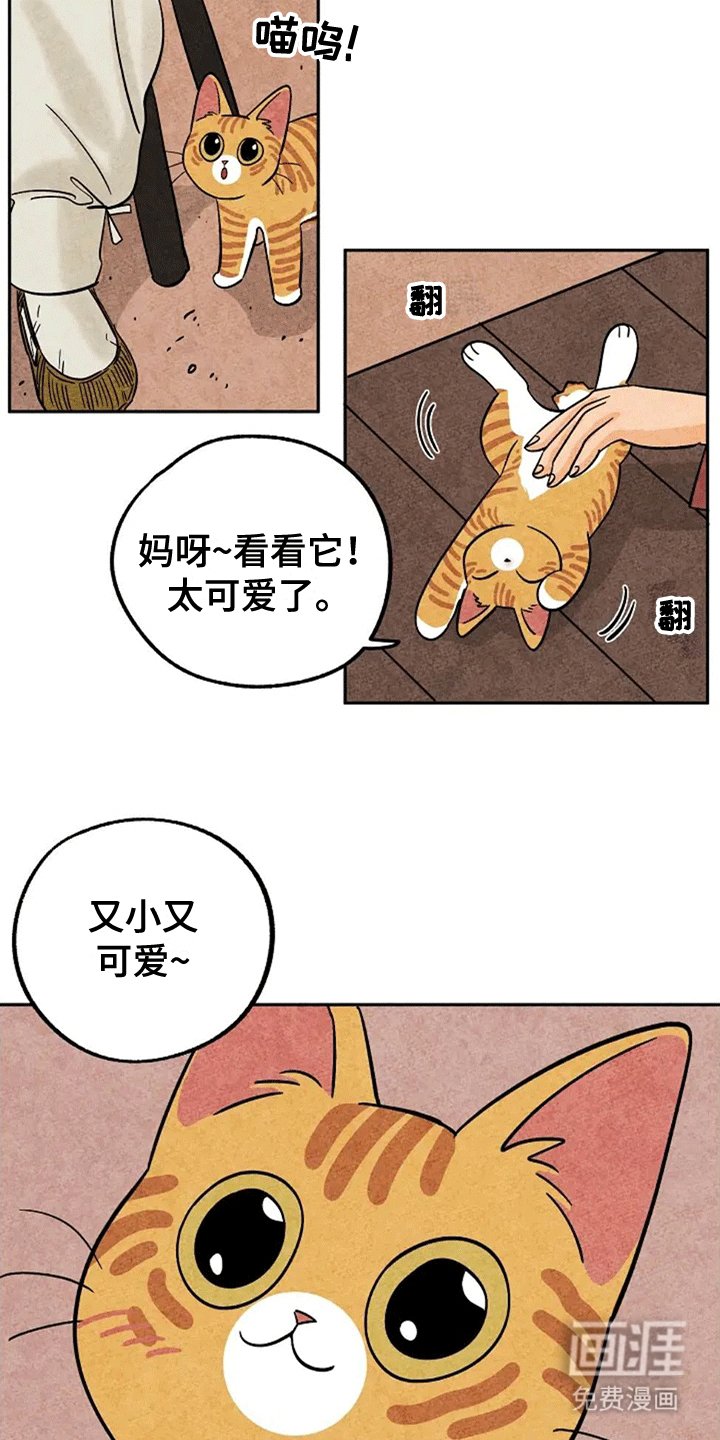 第61章：大橘