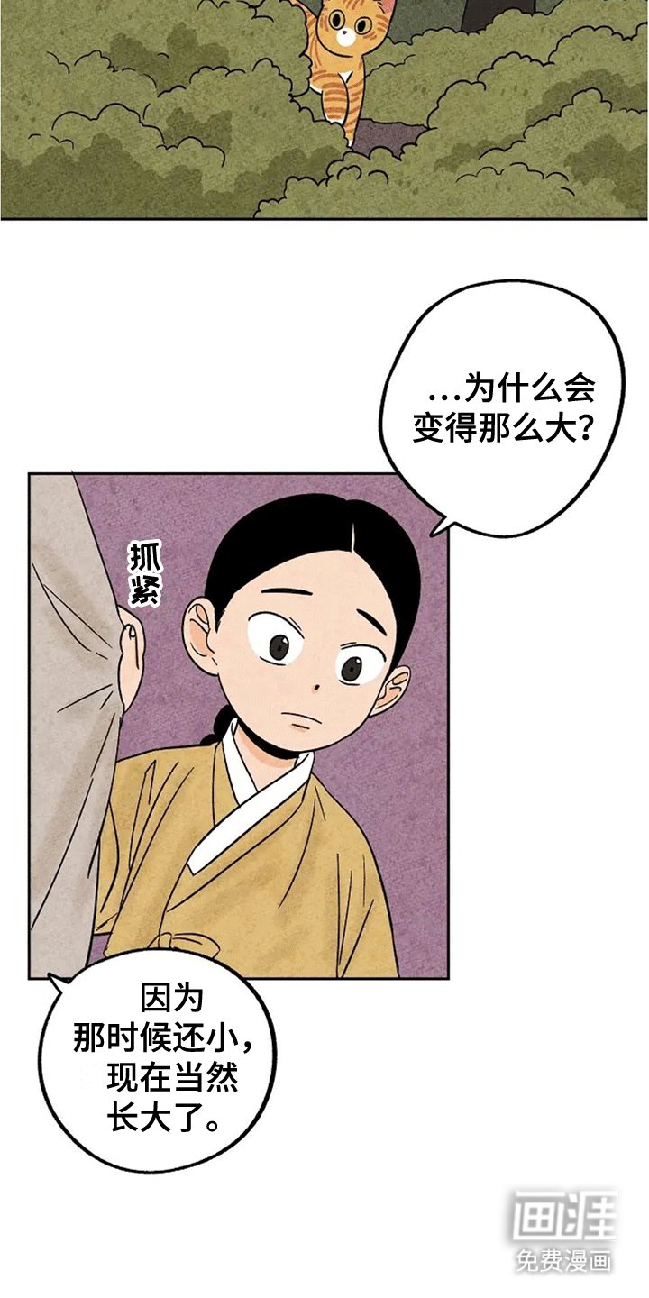 第61章：大橘