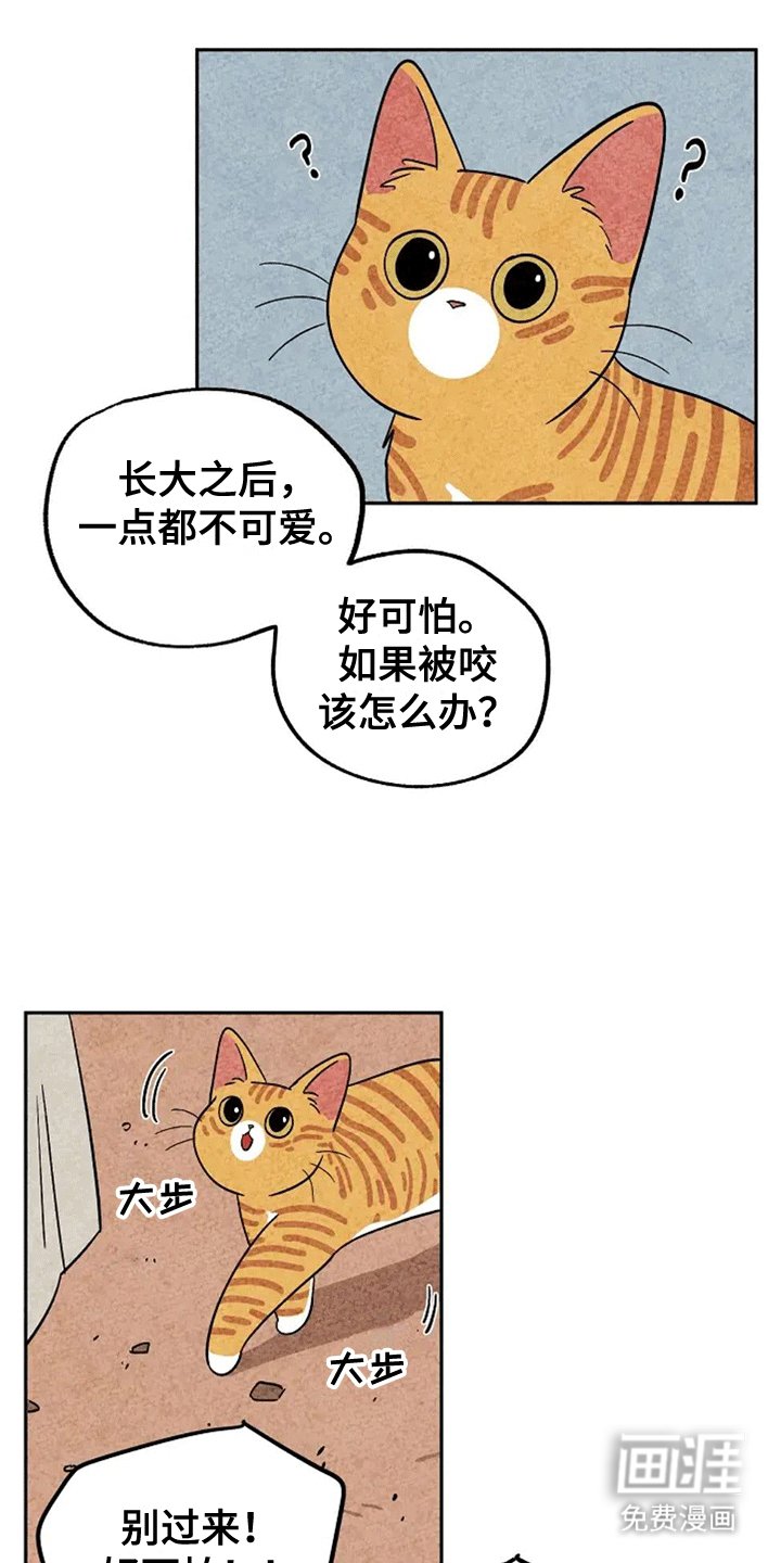 第61章：大橘