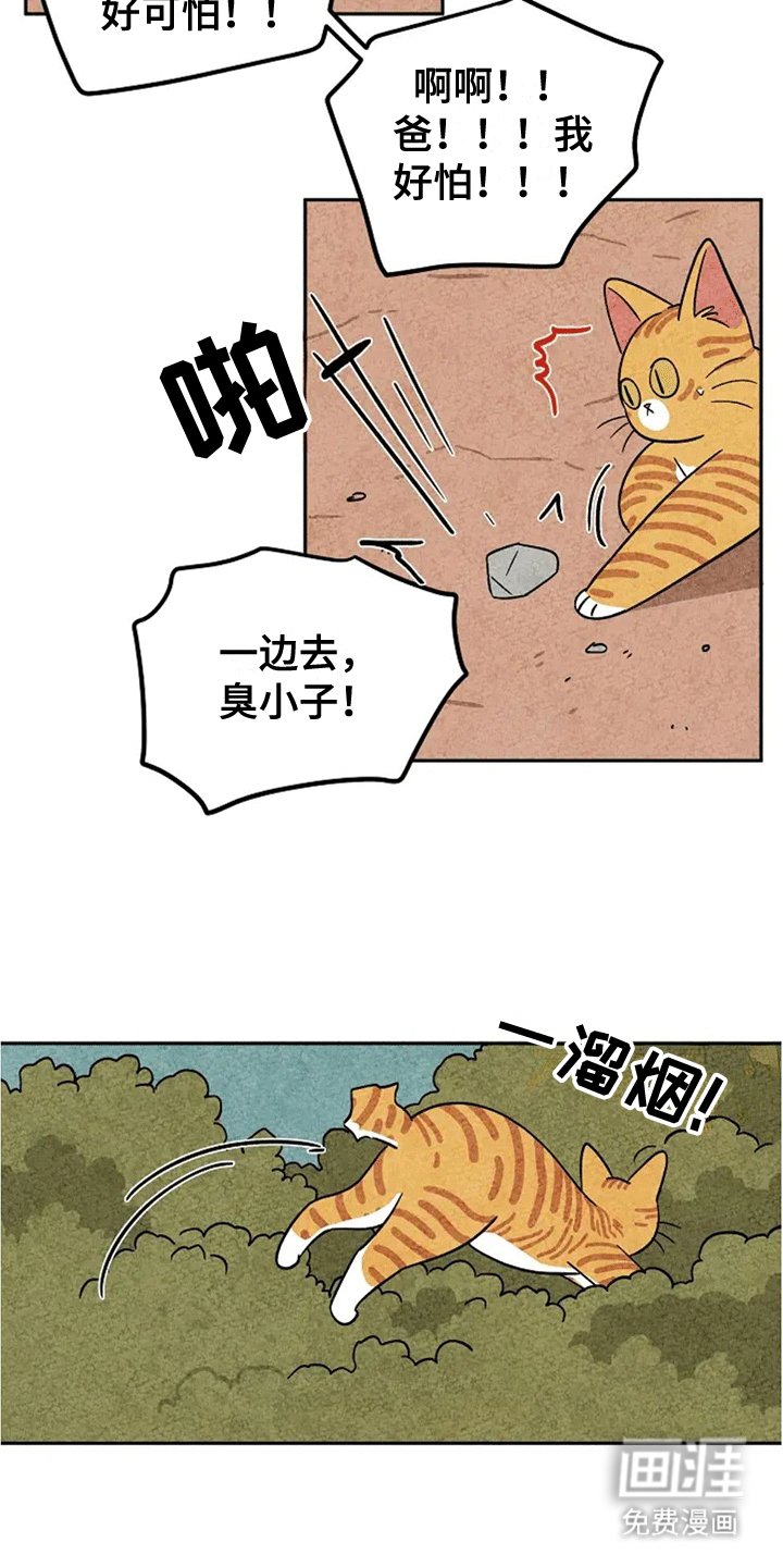 第61章：大橘