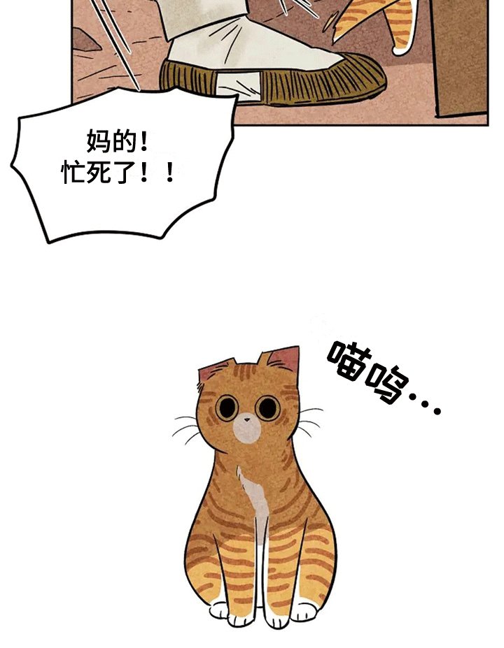 第61章：大橘