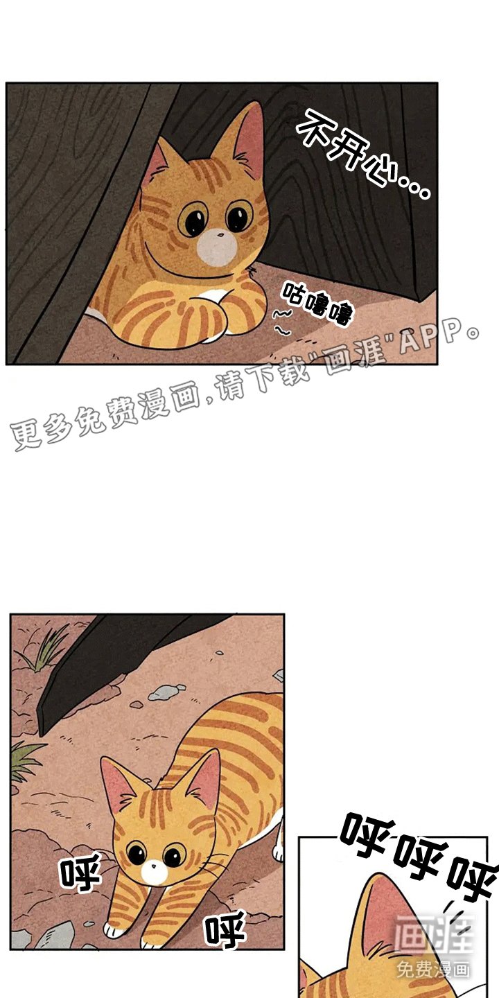 第62章：成长