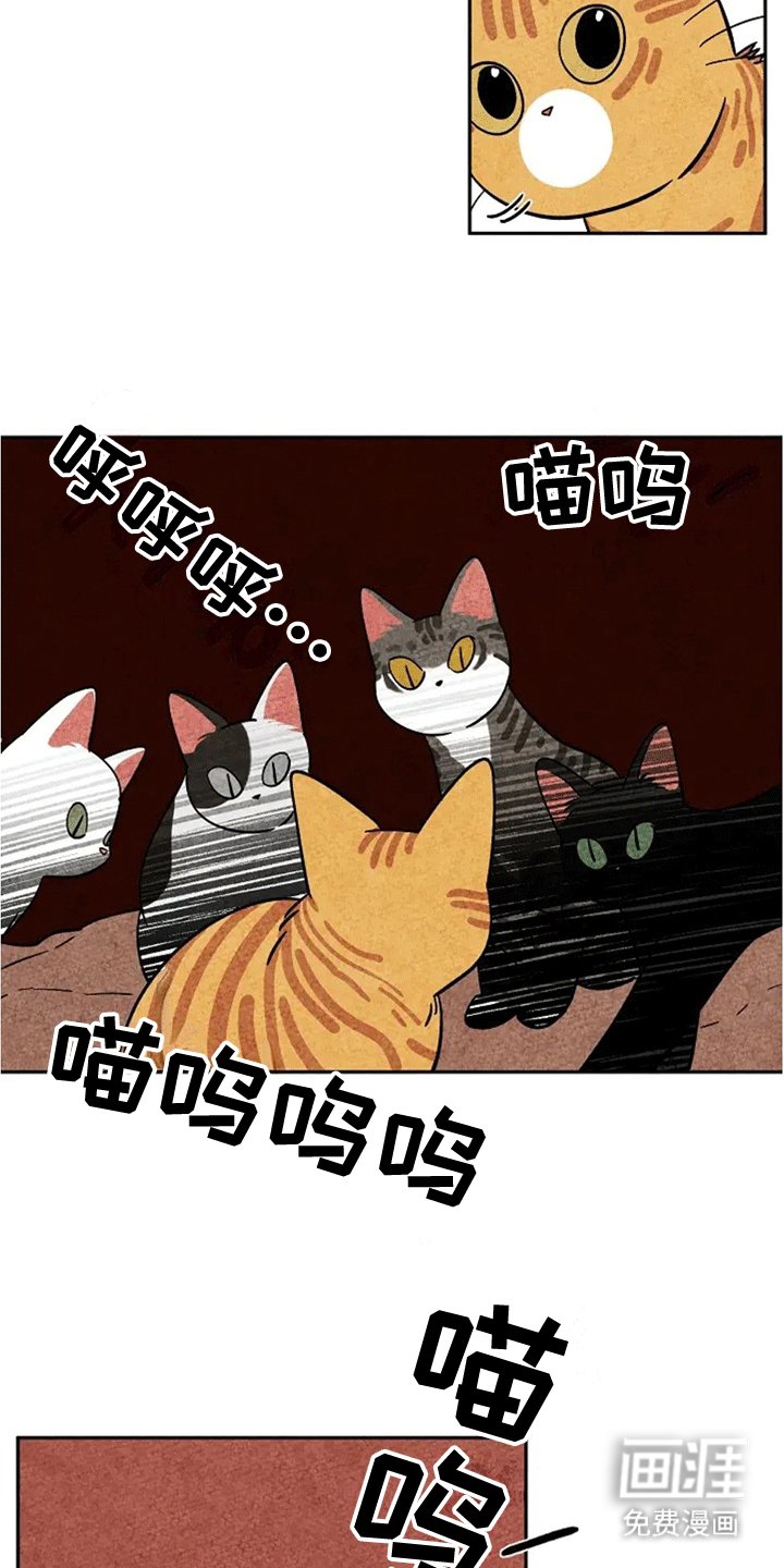 第62章：成长