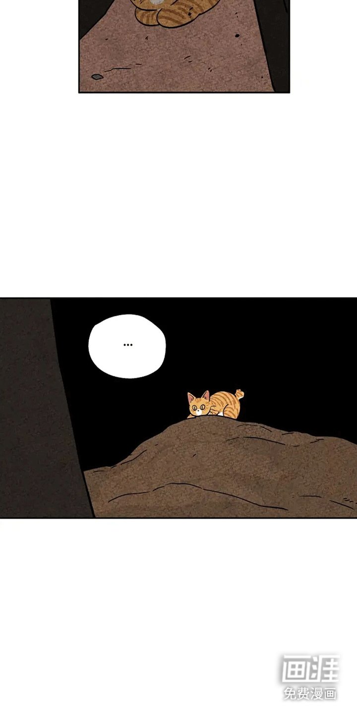 第62章：成长