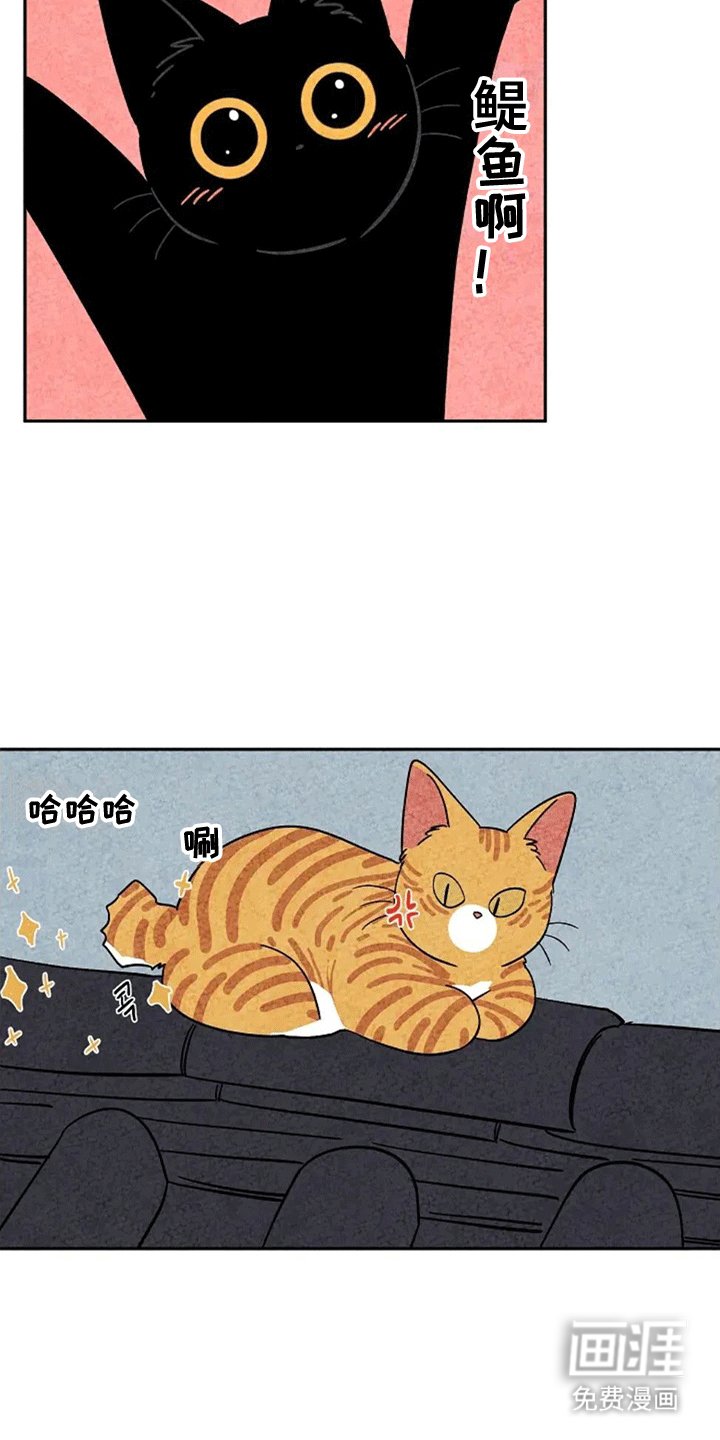 第62章：成长