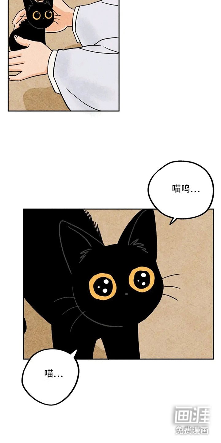 第63章：金福委屈