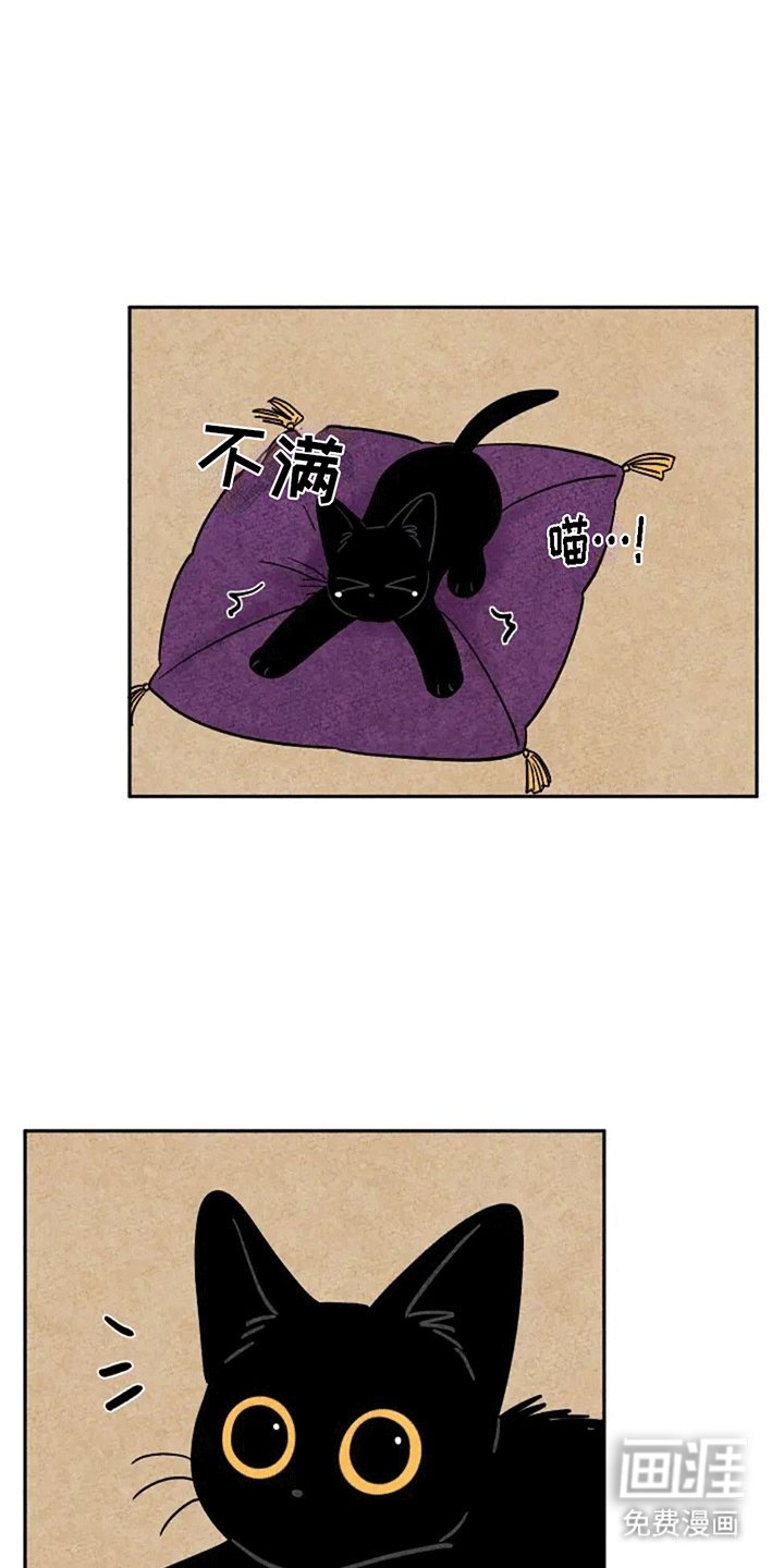 第64章：捣乱