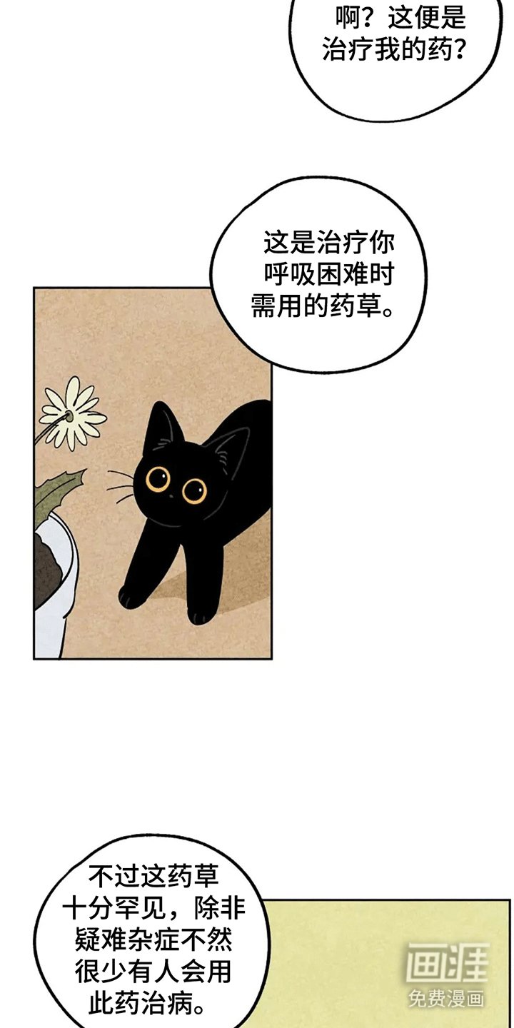 第64章：捣乱