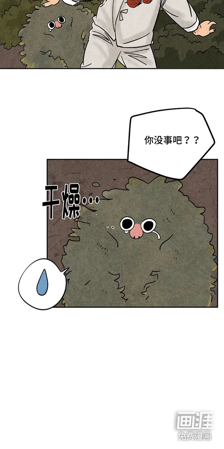 第66章：偷柿饼