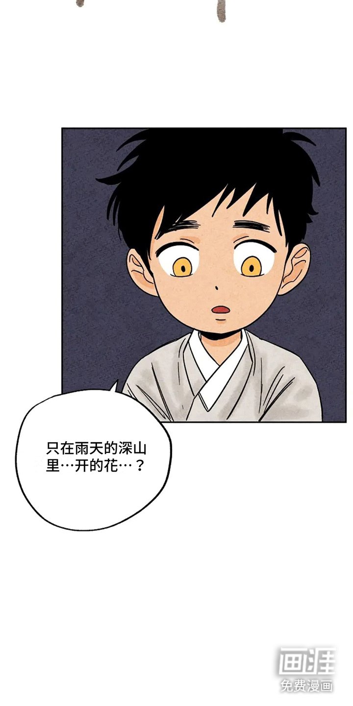 第66章：偷柿饼