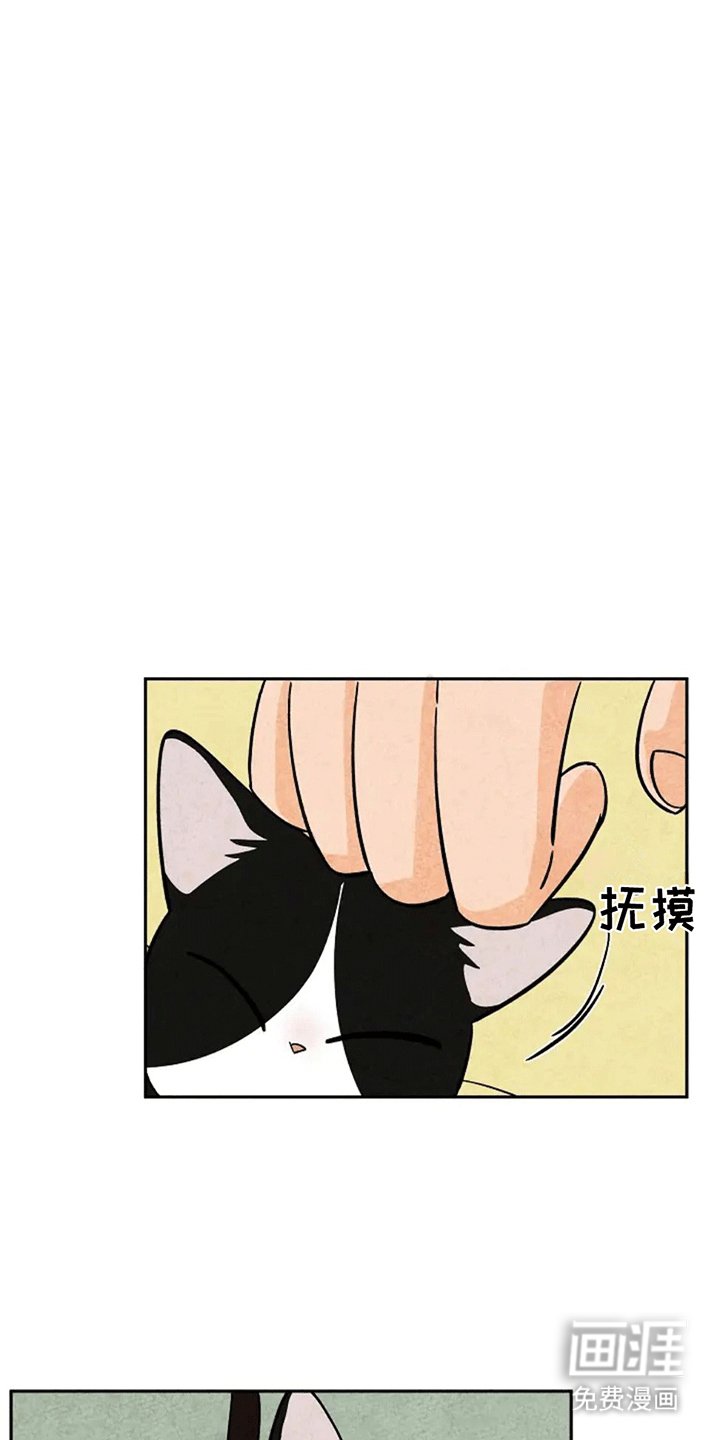 第67章：一片狼藉