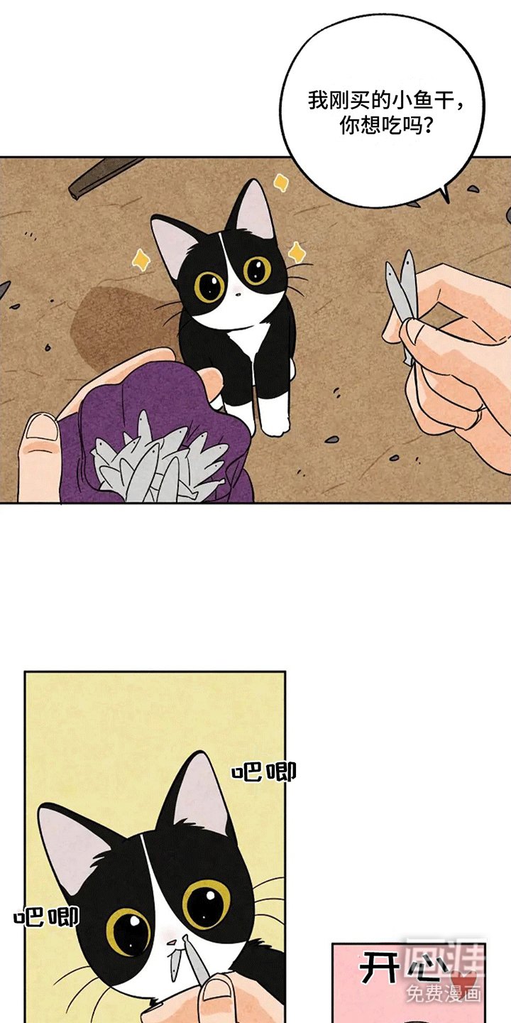 第67章：一片狼藉