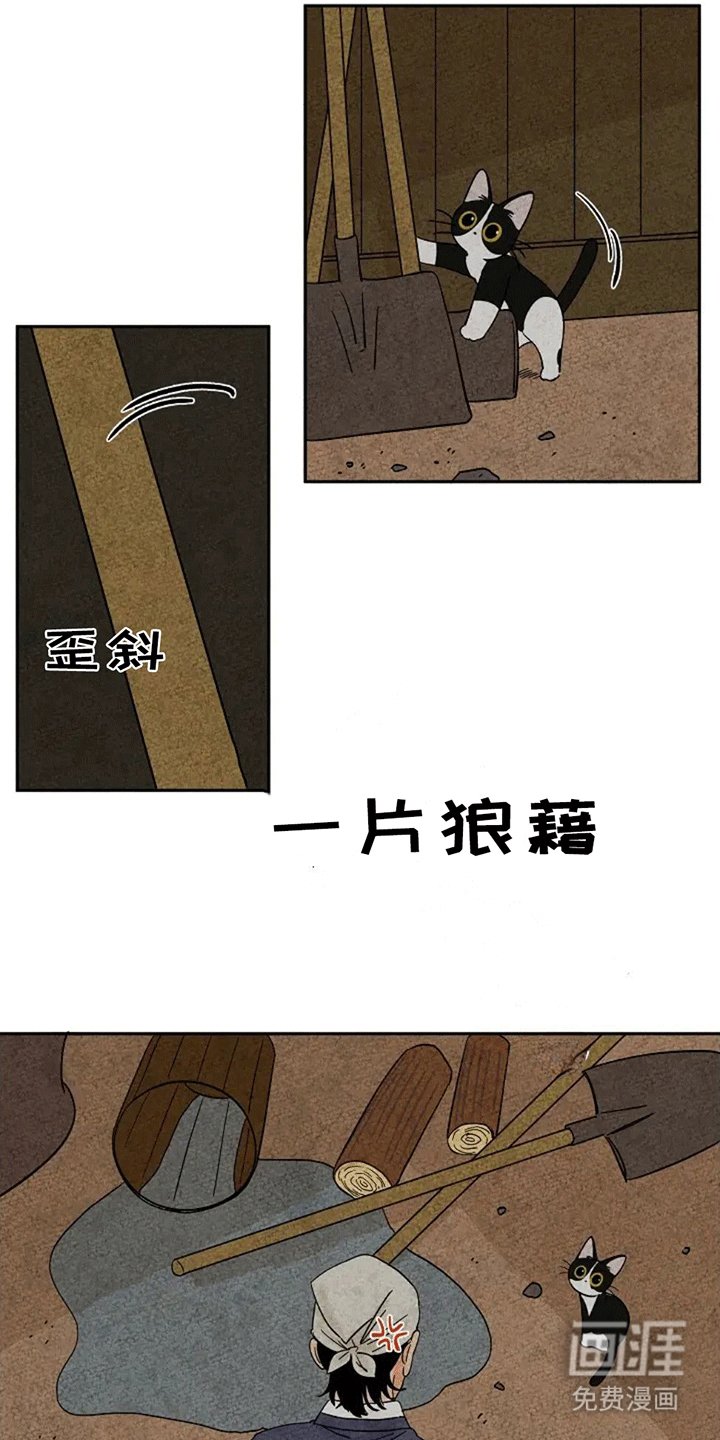 第67章：一片狼藉
