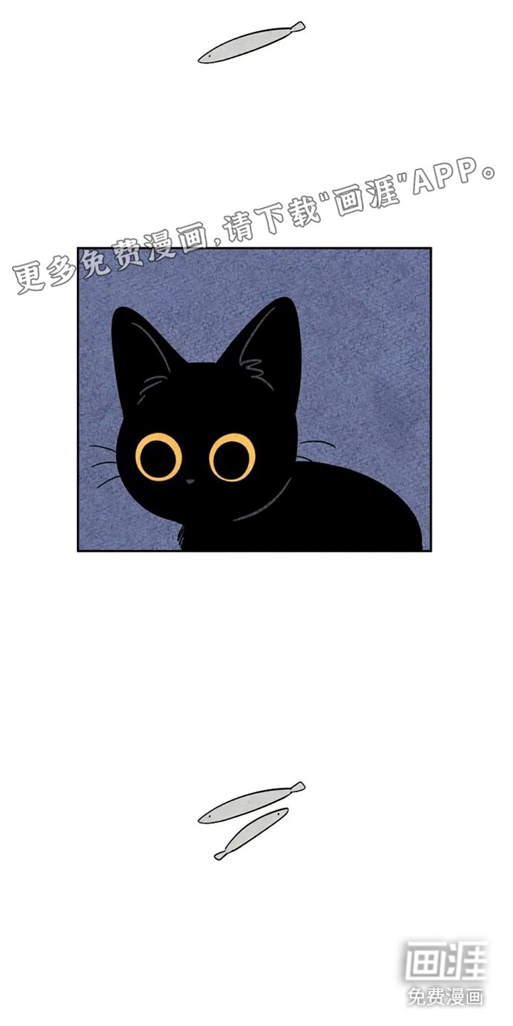 第69章：小小金福