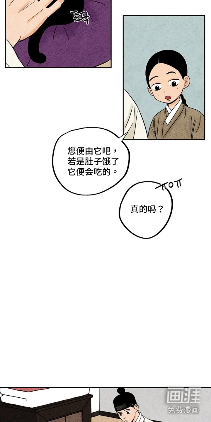 第69章：小小金福