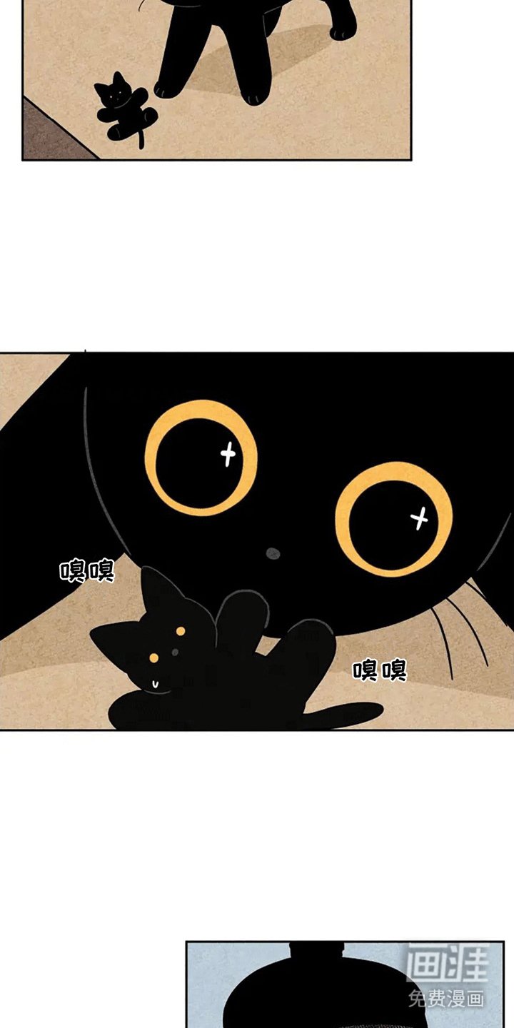 第69章：小小金福