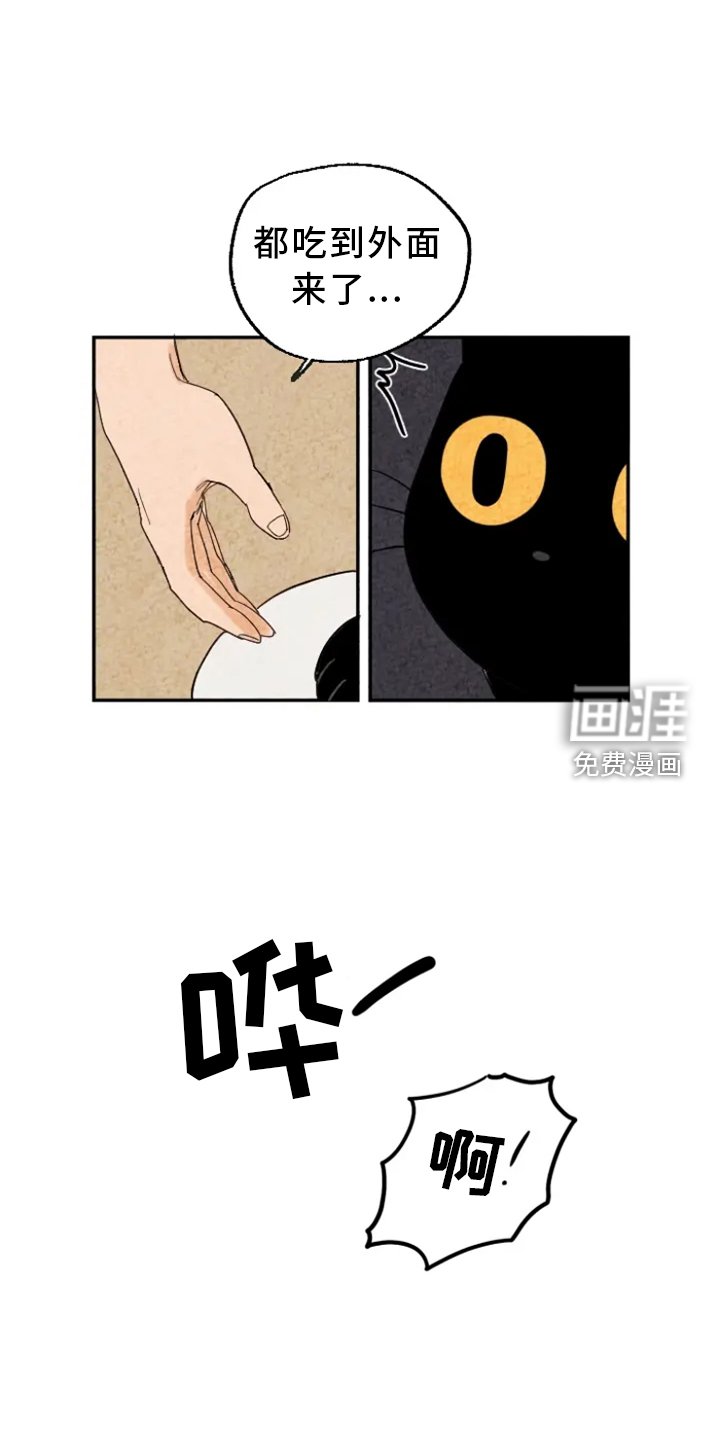 第7章：吃鱼