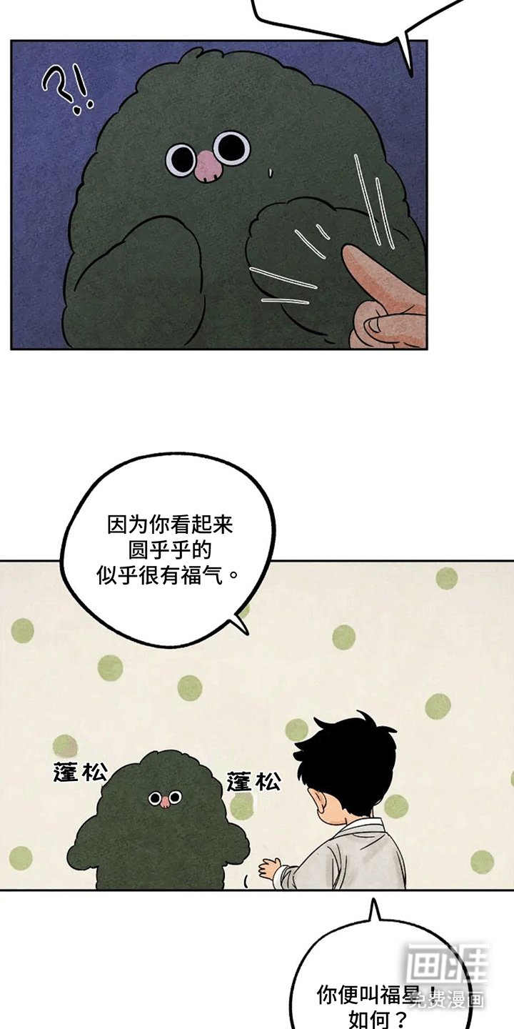 第71章：做梦