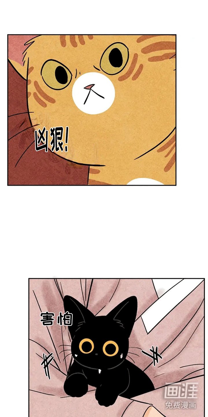 第74章：鼠鼠