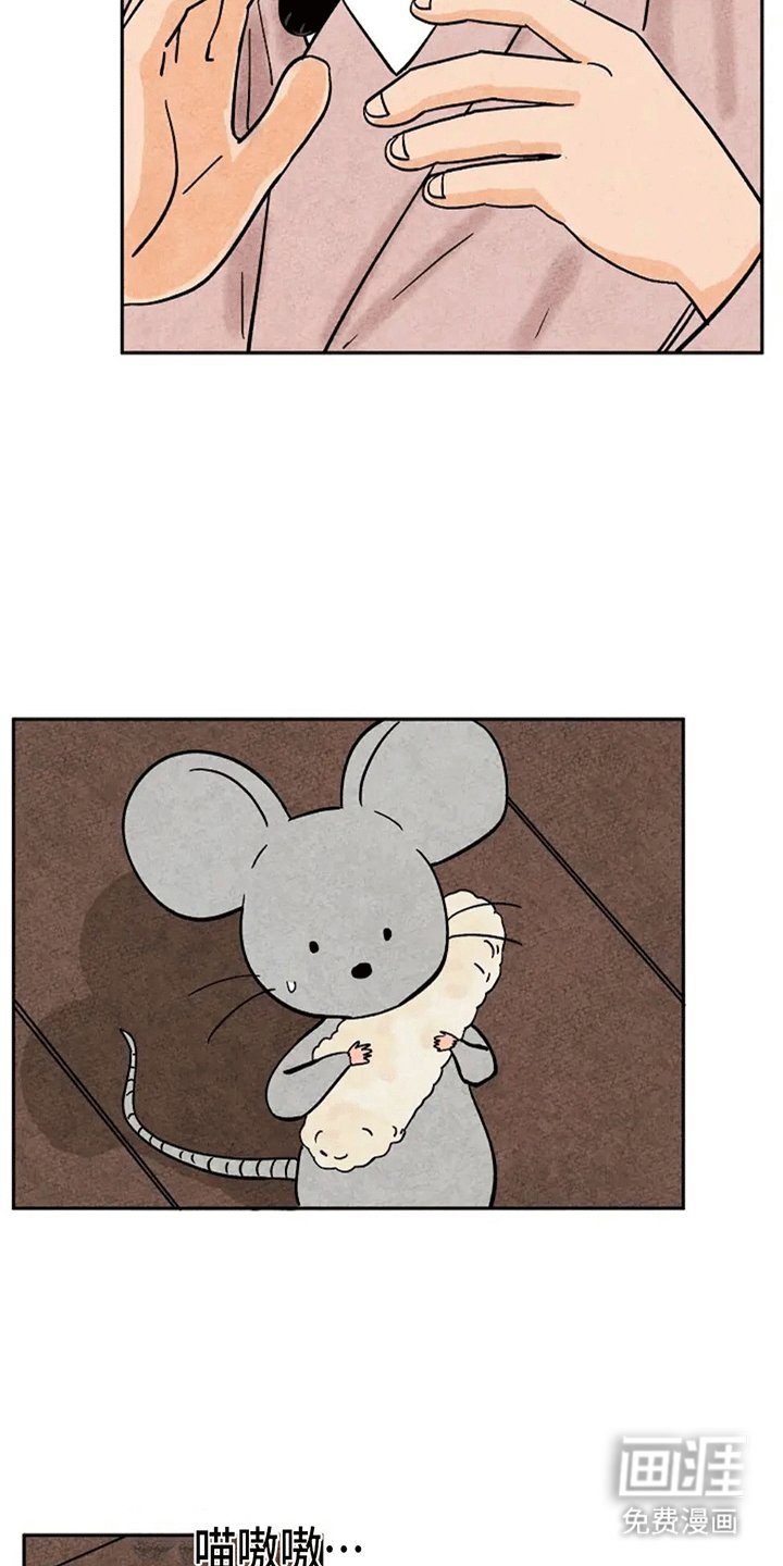 第74章：鼠鼠