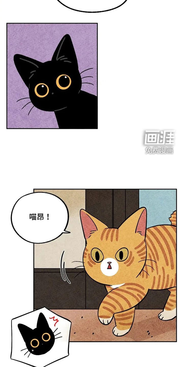 第75章：着凉