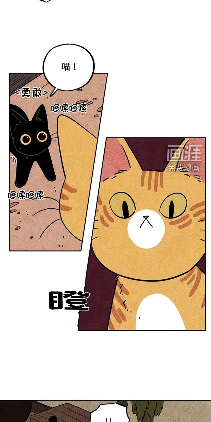第75章：着凉