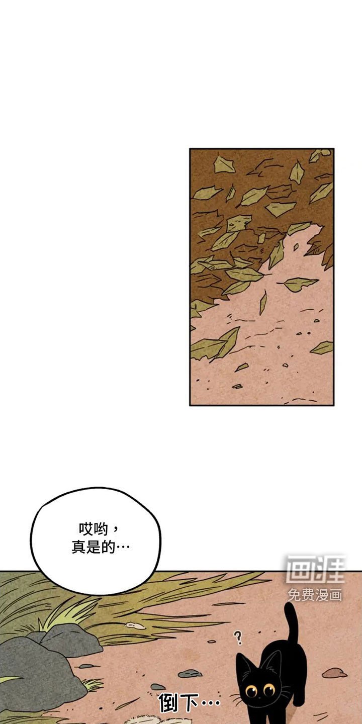 第80章：无辜