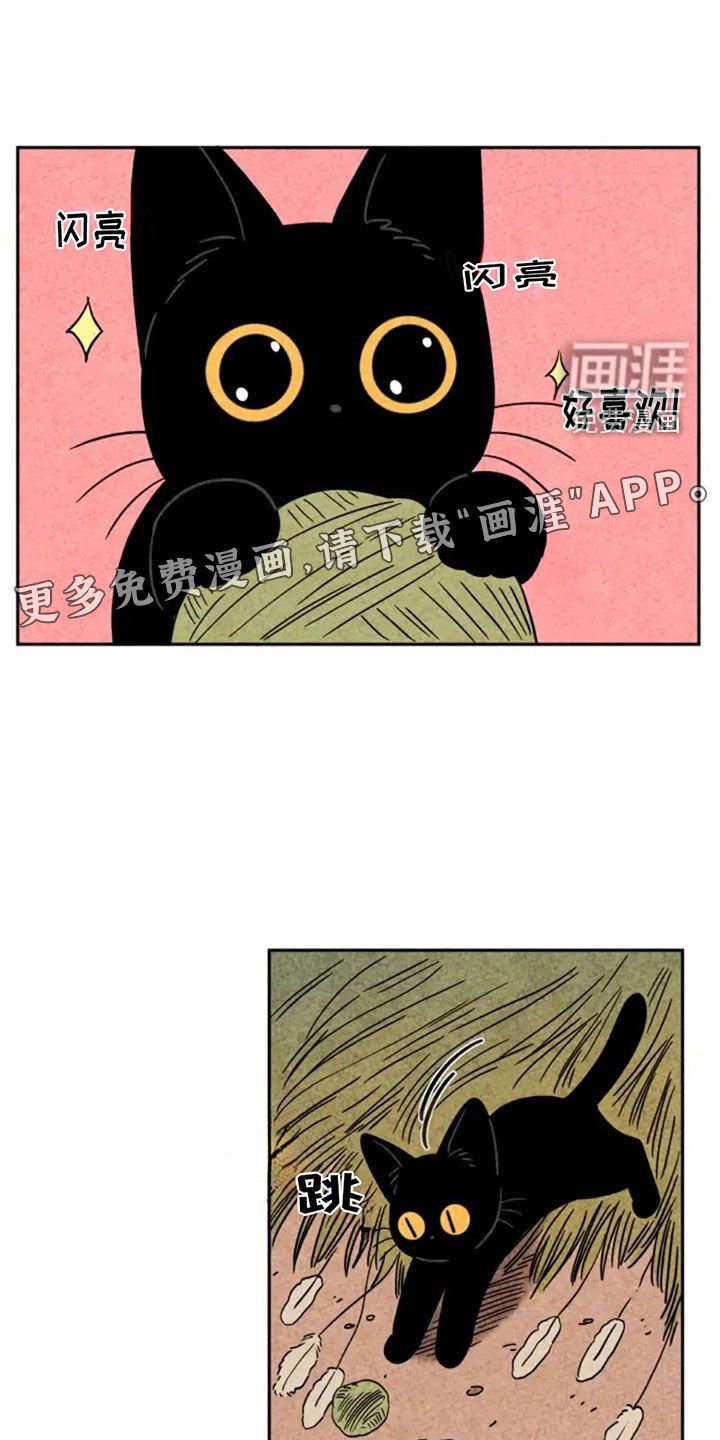 第81章：第一个冬天